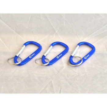 Carabiner Keyring